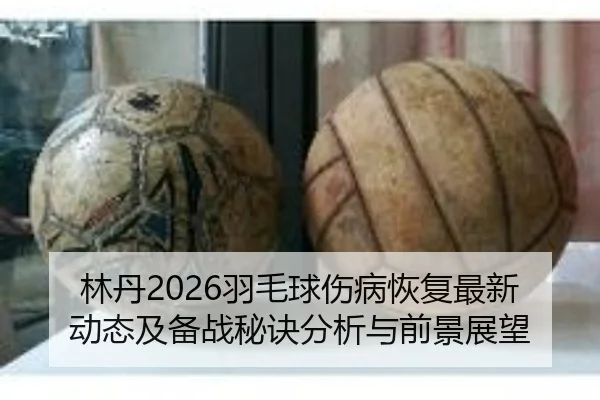 林丹2026羽毛球伤病恢复最新动态及备战秘诀分析与前景展望