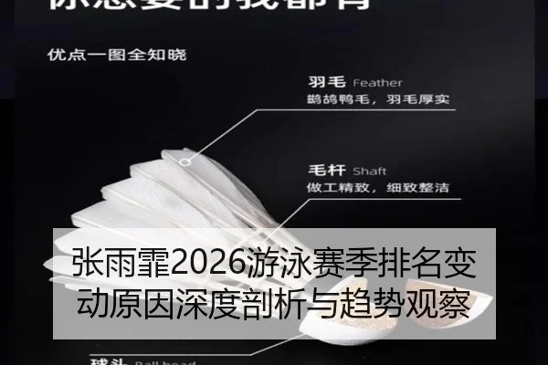 张雨霏2026游泳赛季排名变动原因深度剖析与趋势观察